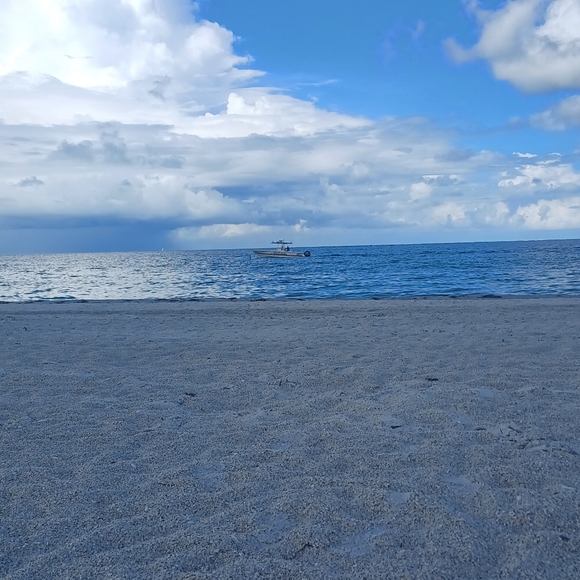 Meet your Posher, Lisa - Picture 1 of 1